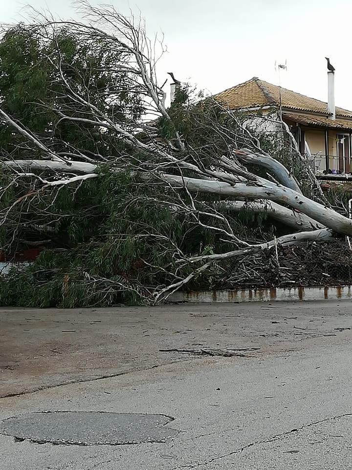 23380345_10156034777054994_3806514072616143415_n