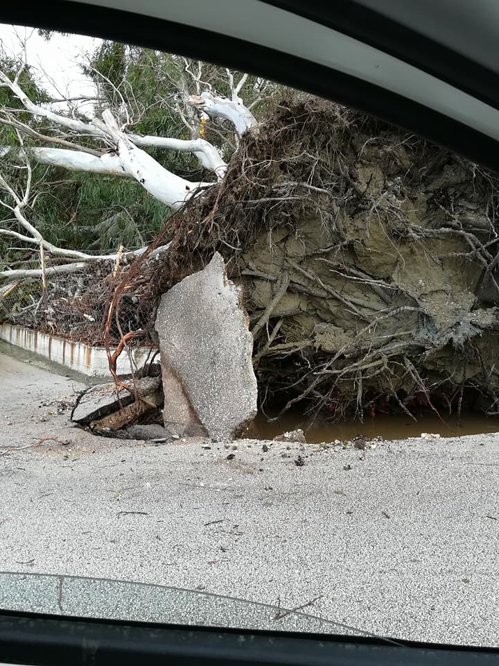 23380376_10156034777419994_7492418065508578028_n