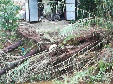 23473196_10156034781264994_7688052471795791269_n