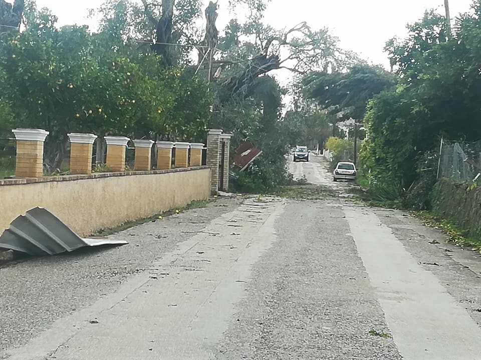 23517573_10156034782269994_5831874981953157428_n